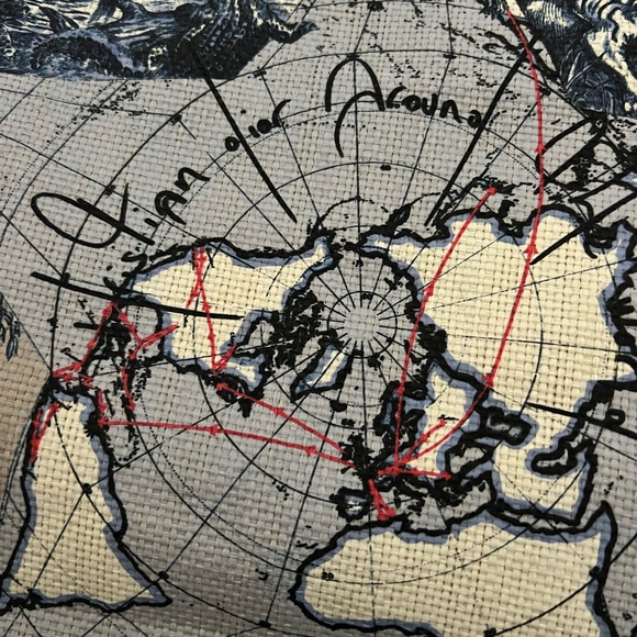 Dior Beach Tote Bag with Map and Animal Print - Picture 7 of 8